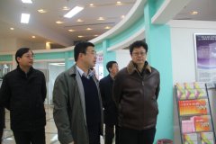 陳剛副市長(zhǎng)一行調(diào)研南京文化金融服務(wù)中心